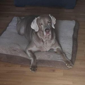 Meet your Posher, Juan ignacio